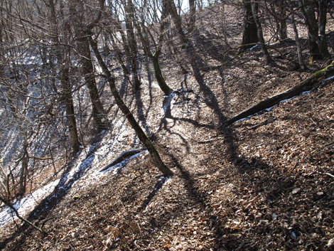 20181214hike (215)